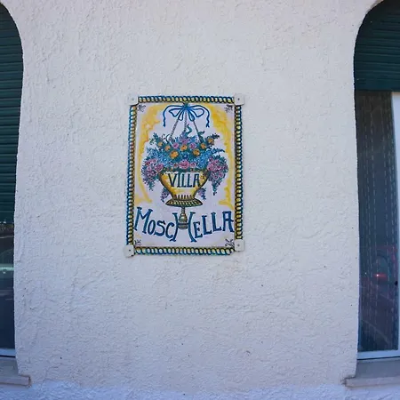 Maison d'hôtes Moschella